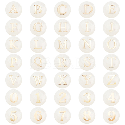 Natural Shell Beads SHEL-PH0001-53-1