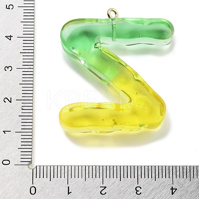 Resin Pendant FIND-Q107-01Z-02-1