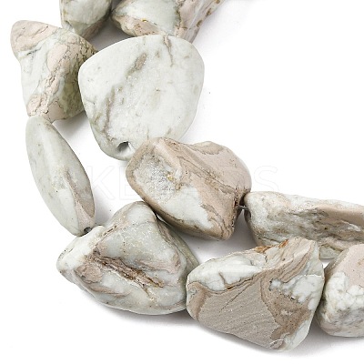 Natural Variscite Beads Strands G-D098-C09-1