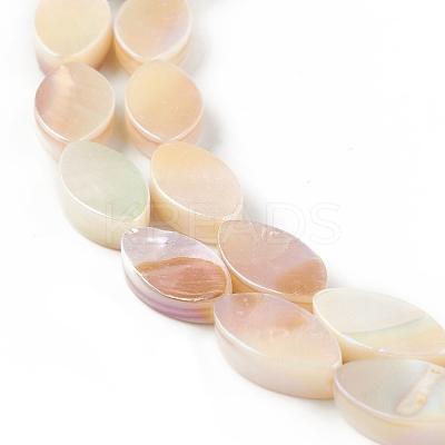 Natural Freshwater Shell Beads Strands X-SHEL-T009-22-1