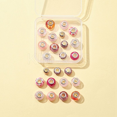 24Pcs 12 Style European Beads DIY-FS0003-45-1