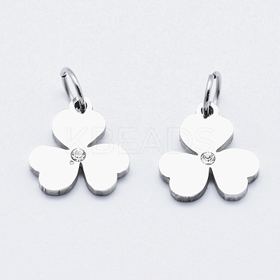 Eco-Friendly 316 Surgical Stainless Steel Micro Pave Cubic Zirconia Charms RB-I078-79P-NR-1
