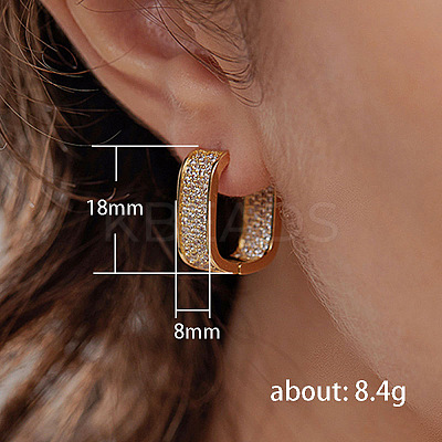 Oval Brass Micro Pave Cubic Zirconia Hoop Earrings WG8C9EE-02-1