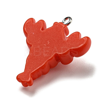 Opaque Resin Imitation Food Pendants LS-CRES-D019-01D-1