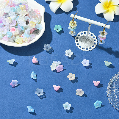 480Pcs 12 Colors Acrylic Bead Caps OACR-SC0002-31-1