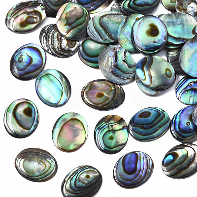 Natural Abalone Shell/Paua Shell Cabochons SSHEL-N034-118-1