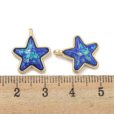 Translucent Resin Pendants KK-M291-24D-1