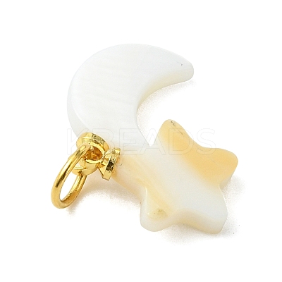 Natural Freshwater Shell Pendants PALLOY-JF05399-1