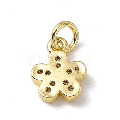 Brass Micro Pave Cubic Zirconia Charms ZIRC-F132-71G-1