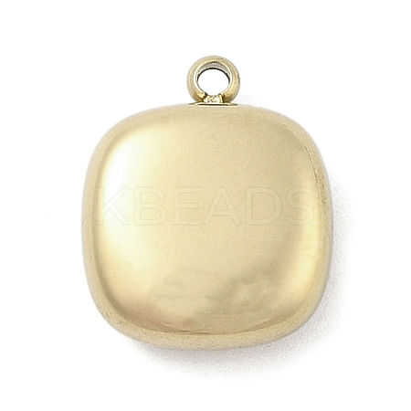 316 Surgical Stainless Steel Charms STAS-S159-02C-G-1