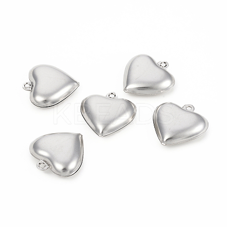 Non-Tarnish 304 Stainless Steel Pendants STAS-I149-07P-1