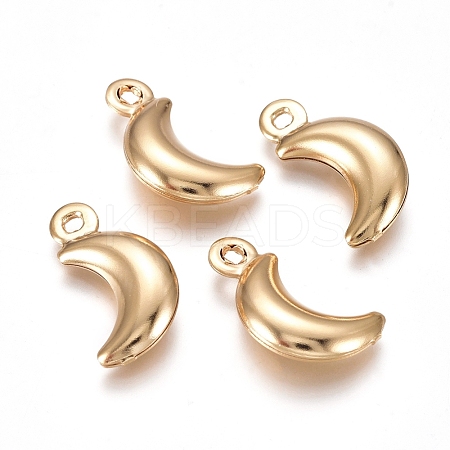 304 Stainless Steel Pendants X-STAS-I138-05G-1