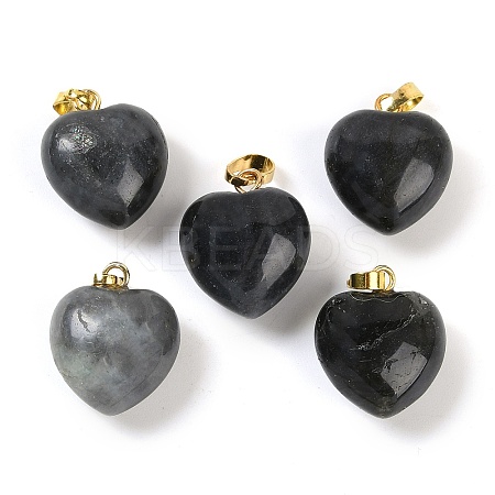 Natural Labradorite Pendants G-J386-H15-G-1