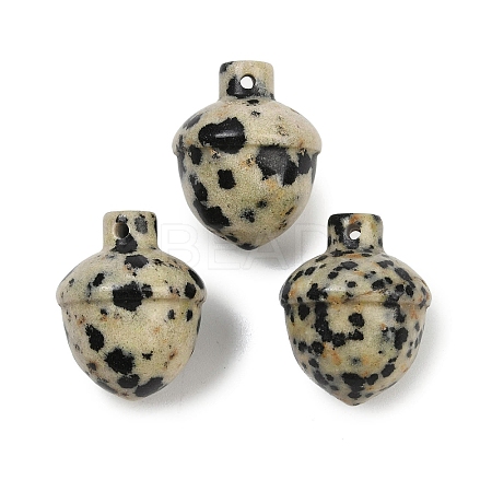 Natural Dalmatian Jasper Pendants G-K354-13E-1