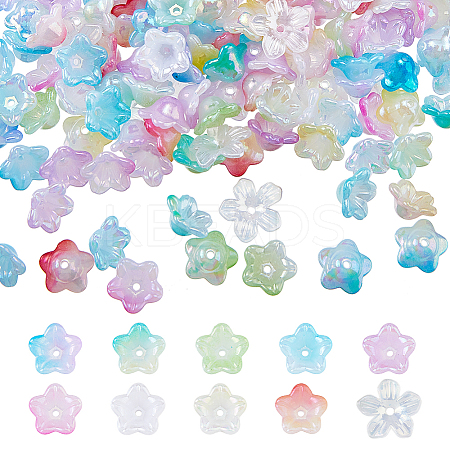 Acrylic Bead Caps OACR-DC0001-29A-1