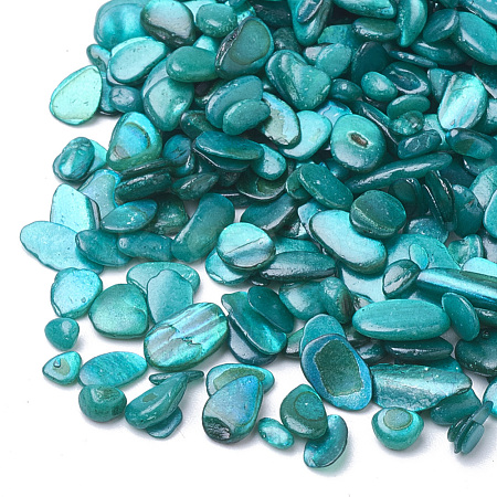 Shell Beads SHEL-R020-07-1
