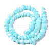 Natural Trochid Shell/Trochus Shell Bead Strands SSHEL-N034-78-C03-2