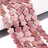 Natural Rhodonite Beads Strands G-N257-24A-09-1