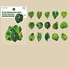 Pick Light Plant Copper Plate Sticker Leaf Language Light Song Series Natural Hand Account Material DIY 30 Pieces 8 Options PW-WG01F30-05-1