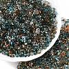 Spray Painted Glass Seed Beads SEED-T007-08A-3