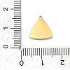 304 Stainless Steel Micro Pave Cubic Zirconia Charms STAS-I356-04G-02-3