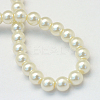 Baking Painted Glass Pearl Bead Strands HY-Q003-5mm-02-4