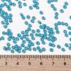 MIYUKI Round Rocailles Beads X-SEED-G008-RR0413-4