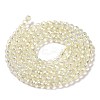 Electroplate Transparent Glass Beads Strands X1-GLAA-H021-01B-FR04-4