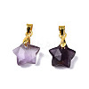 Natural Amethyst Charms X-G-N326-142-03-2