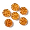 Transparent Lampwork Beads LAMP-P065-04A-11-1