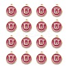 Golden Plated Alloy Enamel Charms ENAM-S118-08U-2