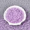 FGB Grade A Transparent Glass Seed Beads SEED-Q040-03A-05-3