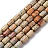 Natural Aqua Terra Jasper Beads Strands G-L624-C03-12x8mm-2
