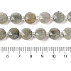 Natural Labradorite Bead Strands G-C116-A10-01-5