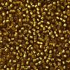 TOHO Round Seed Beads SEED-JPTR11-0022CF-2