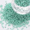 12/0 Imitation Jade Glass Seed Beads SEED-S049-A-013-1