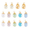 20Pcs Glass Pendants PALLOY-TA00240-2