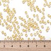 TOHO Round Seed Beads X-SEED-TR08-0961-4
