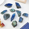 Natural Labradorite Irregular Nugget Display Decorations PW-WG36931-01-3