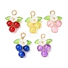 10Pcs 5 Colors Glass & Resin & Acrylic Pendants PALLOY-AL0040-1