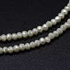 Faceted Rondelle Full Rainbow Plated Electroplate Glass Beads Strands X-EGLA-M004-2mm-A17-2