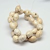 Oval Natural Magnesite Beads Strands G-M138-08-2