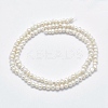 Natural Cultured Freshwater Pearl Beads Strands PEAR-F007-61-2