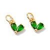 Rack Plating Brass Cubic Zirconia Charms KK-I684-04G-RS-2