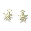 Alloy Charms PALLOY-L222-038GGP-2