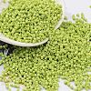Baking Paint Glass Seed Beads X-SEED-S042-05B-62-1