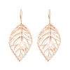 Rack Plating Brass Earrings for Women EJEW-M260-26RG-1