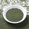 MIYUKI Delica Beads X-SEED-J020-DB0391-2