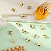 Preciosa® MAXIMA Crystal Fancy Stones Y-PRC-FA6-80100-2