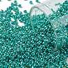 TOHO 11/0 Round Beads X-SEED-TR11-PF0569-1